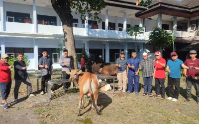 SEMARAK IDUL ADHA 1447 H : REKTOR UIN MATARAM SERAHKAN 14 EKOR HEWAN KURBAN